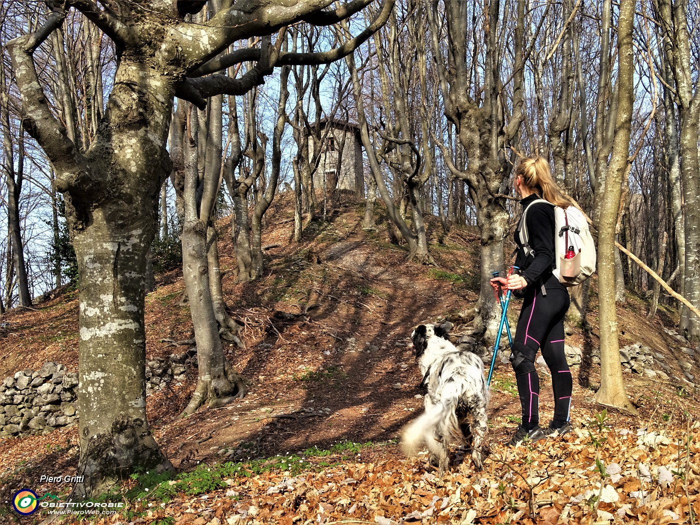 20 Bello il sentiero dei roccoli, posso anche arrampicare sugli alberi.JPG